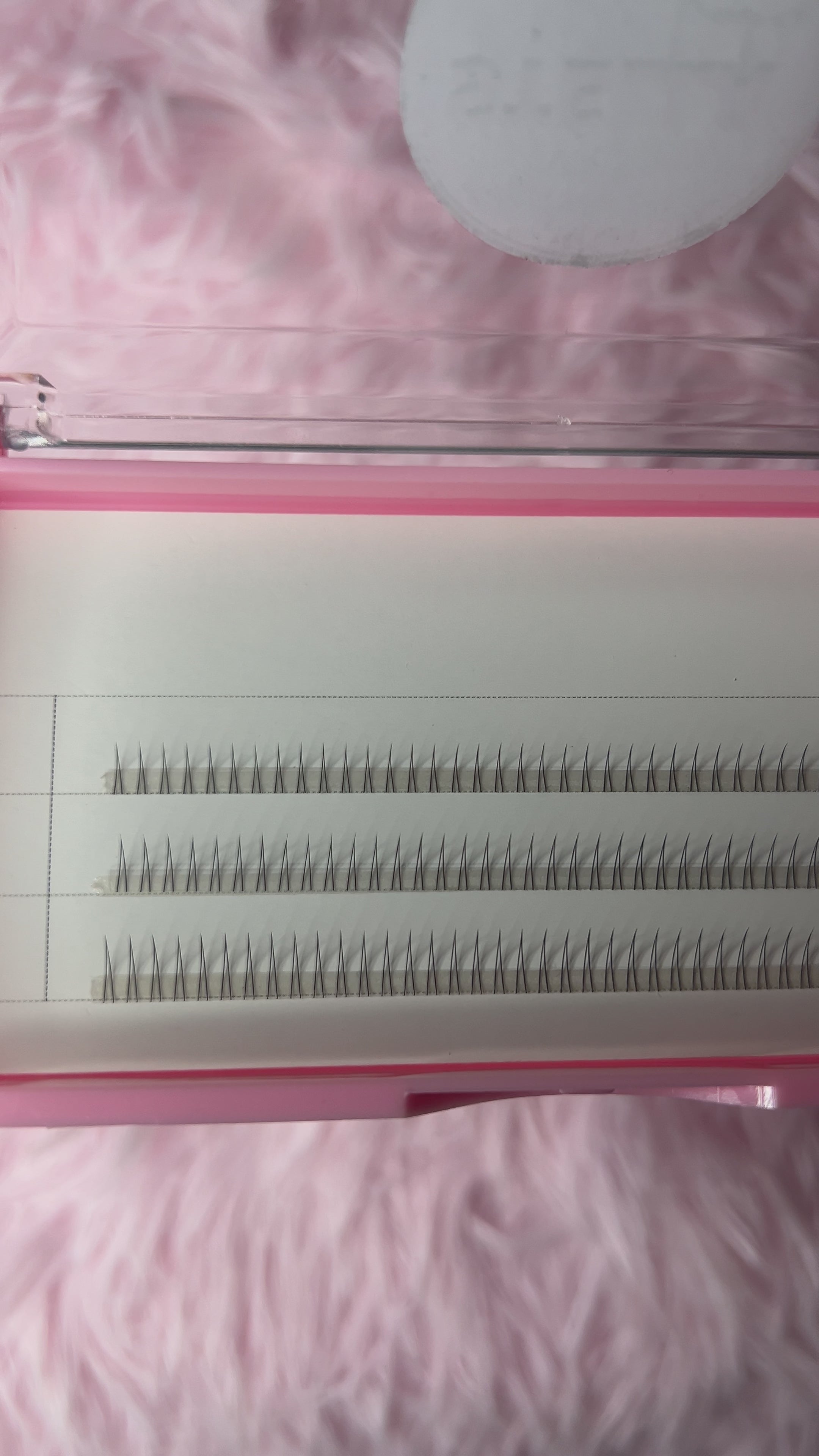 Stella Bottom Lash Clusters