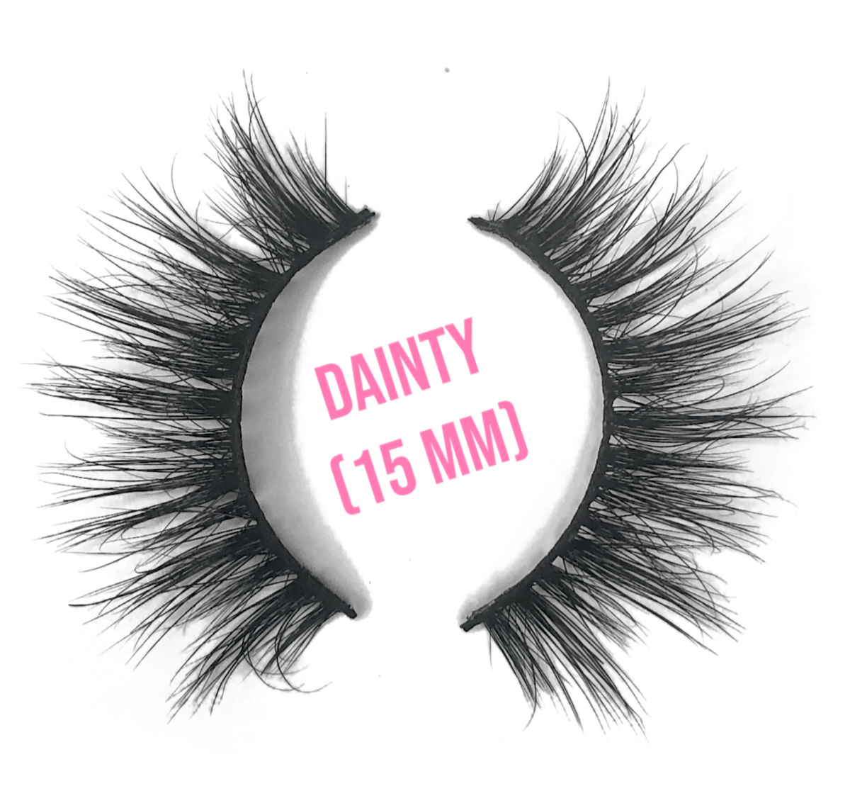 DAINTY – Stella Lashes